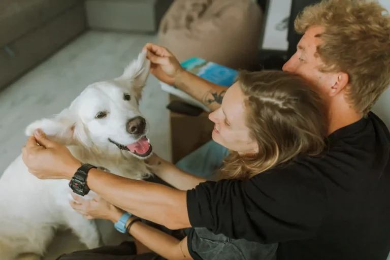Formation en communication animale : ce qu&rsquo;on y apprend vraiment