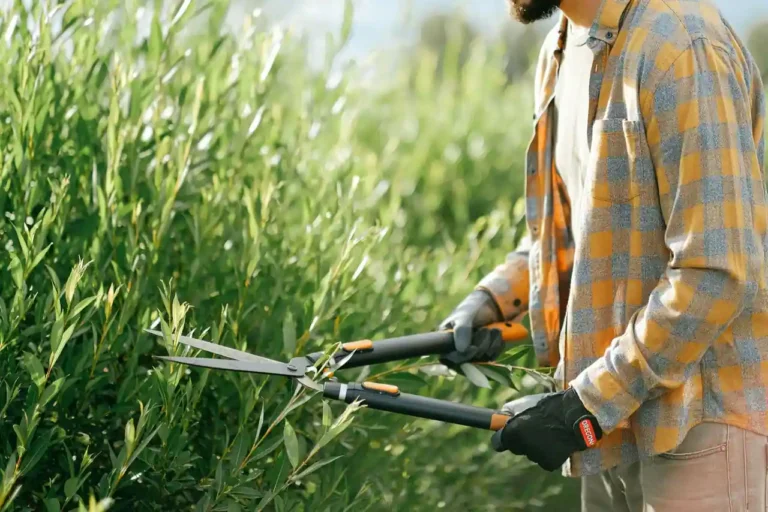 Crédit d&rsquo;impôt jardinage : travaux éligibles, taux et plafond