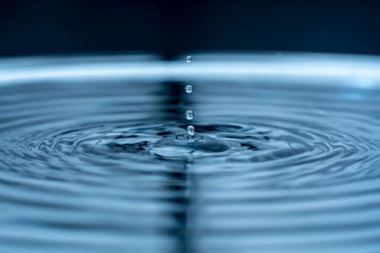 Gestion de l&rsquo;eau : comprendre les enjeux et agir à toutes les échelles