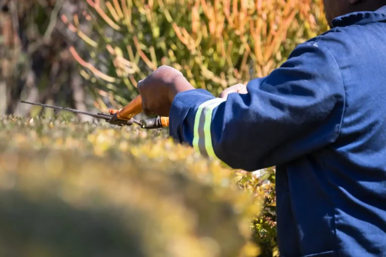 Crédit d&rsquo;impôt jardinage : travaux couverts, plafond et déclaration